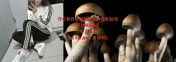 дживик Куйбышев