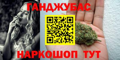 мдпв Майкоп
