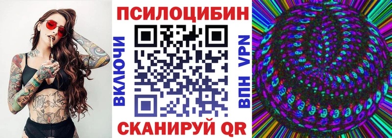 Купить где  Дятьково  Псилоцибиновые грибы GOLDEN TEACHER 