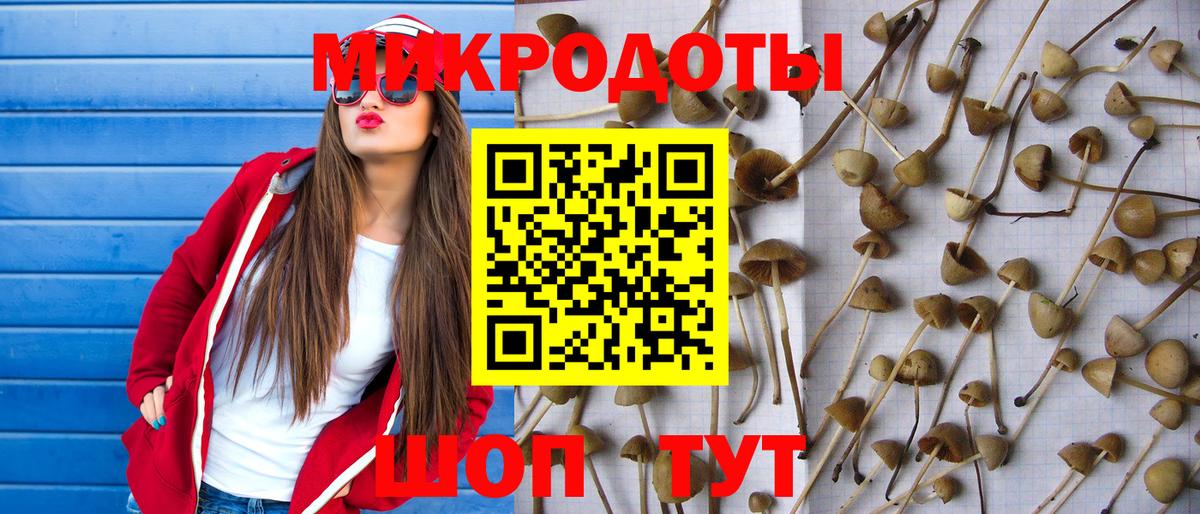 Галлюциногенные грибы ЛСД Дятьково