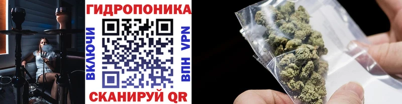 Конопля LSD WEED Дятьково