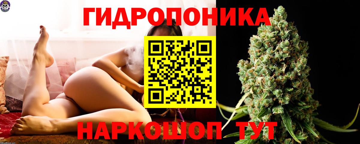 Шишки марихуана конопля  Шишки марихуана MAZAR  Дятьково  МАРИХУАНА SATIVA & INDICA  Вход с VPN 